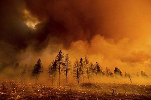 "Giặc" lửa lan rộng, thiêu rụi 340km2 rừng tại California, Mỹ