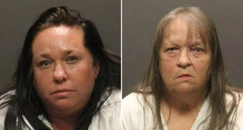 Bi chay hut mau ky sinh, be gai can mau roi qua doi