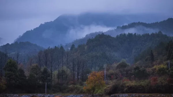 Người đàn ông Trung Quốc bị bắn chết vì bị nhầm là thỏ