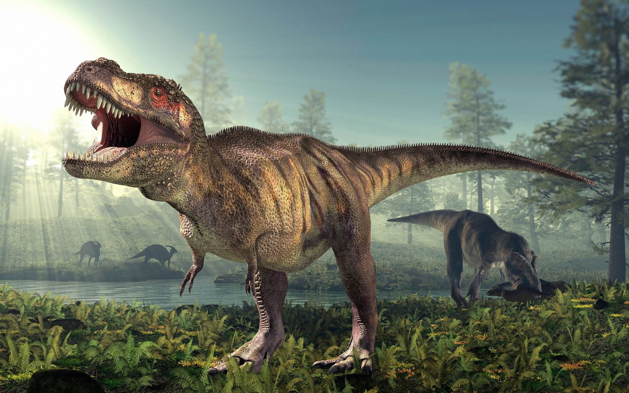 Tiết lộ số lượng khủng long bạo chúa khổng lồ từng tồn tại trên Trái đất