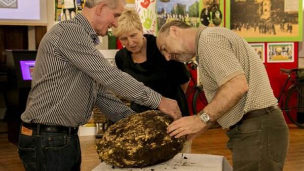 Tìm thấy tảng bơ 2.000 năm tuổi nhưng vẫn ăn được