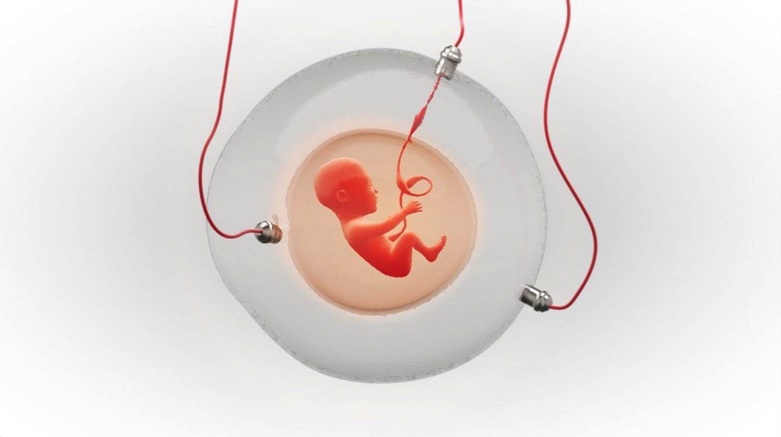 Tạo ra tử cung nhân tạo để phụ nữ không cần mang thai?